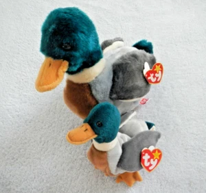 JAKE THE DRAKE - TY BEANIE BUDDY & BABY SET - MALLARD DUCK - APRIL 16 BIRTHDAY - Picture 1 of 11