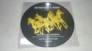 Mumford & Sons - Delta Acoustic Sessions - 10" Picture Disc - RSD 2019 - EX - Picture 1 of 7