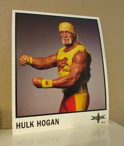 WCW licenza ufficiale Hulk Hogan Promo, WWE, WWF, autentico - Foto 1 di 1