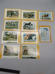Juego De Colección 10 de Obras De Arte/Impresiones/Imágenes De Perro Louis Fuertes 3-1/2" x 5" - Imagen 1 de 11