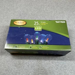 25 LED Edison Bulb Multicolor T40 String Lights 16.7 ft TESTED Holiday Living - Picture 1 of 6