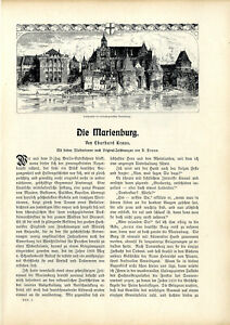 Die Marienburg Ordensburg Hochmeisterpalast Illustrationen v. H.Braun von 1906
