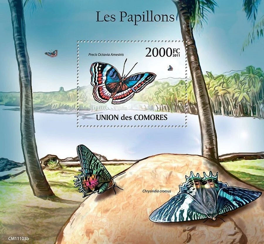 Hoja de estampillas de insectos MNH MARIPOSAS #663 (2011 Comoras) Foto 1 de 1