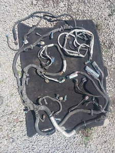 07-09 Express/Savana 4.8/6.0L 2WD Engine Harness - Picture 1 of 1