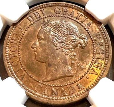 1882H CANADA LARGE CENT CHOICE UNC NGC MS60 BN - Image 1 of 4