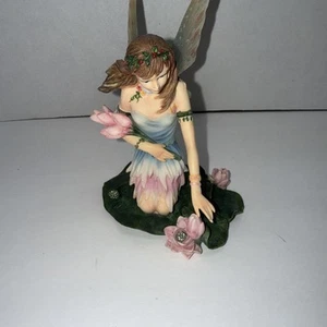 Faerie Glen Lillylotus FG802 - Picture 1 of 5
