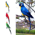 45cm Künstlicher Papageien Vogel Realistische Hauptdekor Budgie Taxidermy
