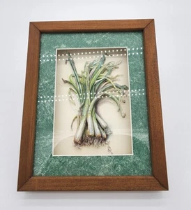 Julia Crainer ZWIEBELN Scherenschnitte 3D ausgeschnitten Aquarell gerahmt Küche Kunst - Bild 1 von 7