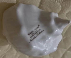 Wedgewood Nautilus Collection Conch Shell 4.5" White Vintage Beach Shell Mint - Picture 1 of 7