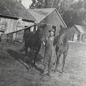 Antique RPPC Real Photograph Postcard Farmer Man Horse Barn Everyday Farm Life - Picture 1 of 7