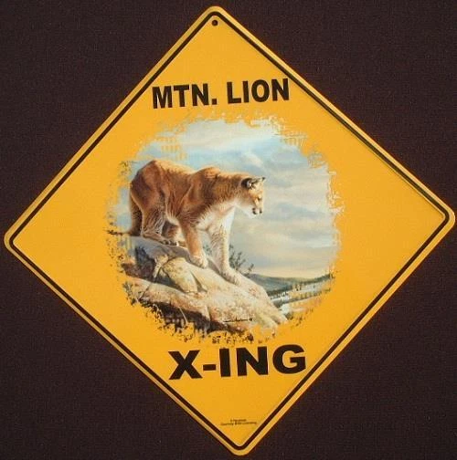MTN. Letrero LION X-ING 16 1/2 por 16 1/2 NUEVO puma decoración gatos pantera arte pictórico Foto 1 de 1