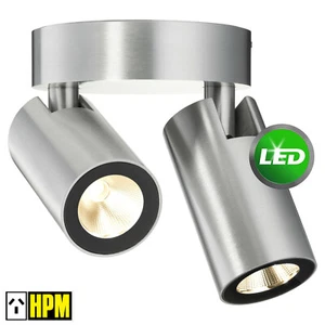 Double LED Stainless Steel Adjustable Outdoor Wall Lights - Warm White 240V IP54 - Picture 1 of 5