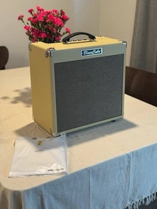 Roland Cube Hot Gitarren Combo Verstärker - Modell BC-HOT-VB - Bild 1 von 6