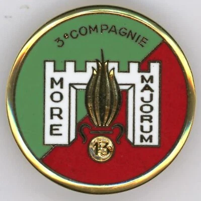13° DBLE 3° Compagnie Djibouti LR Insigne LEGION Non numéroté - Photo 1/2