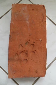 Alte Mauerstein rustikale Ziegel Unikat, Klosterformatziegel mit Pfote, 1 Stück - Bild 1 von 6