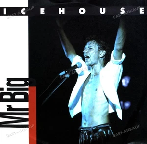 Icehouse - Mr Big 7" (VG+/VG) . - Picture 1 of 1