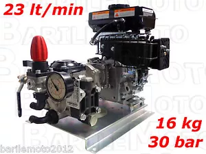 Motopompa Irrorazione IMOVILLI PRO 25/30 Scoppio a Benzina 3 HP - 30 BAR - Foto 1 di 1