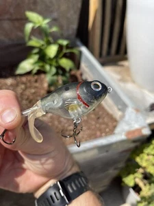 Custom Painted 75mm Plopper Style Super Ghost Fastback Shad - Picture 1 of 5