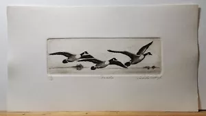 SPECIAL ART SALE! LINDA LLOYD, Original Etching, Canadas, Signed Numbered - Picture 1 of 5