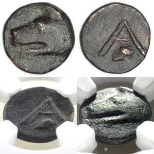 🔥 4th Century BC ARGOLIS, ARGOS AE12 (Anepigraphic Wolf Head) NGC VF (5/5:3/5) - Bild 1 von 23