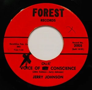 JERRY JOHNSON~Voice Of Our Conscience ✦ Country Blues Hillbilly 45~FOREST #2005 - Picture 1 of 2