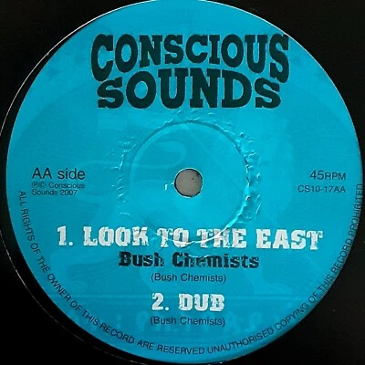 Bush Chemists & DandeLion Conscious Sounds Reggae Dub 10" Vinyl Record Ep — 第 1/2 张图片