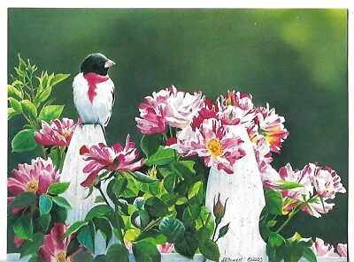 NEW LEANIN TREE SONGBIRDS 5.5 X 7" Blank Rose Breasted Grosbeak w/Envelope - Image 1 of 3