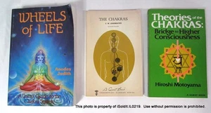 LOT 3 CHAKRA RELATED BOOKS Kundalini Metaphysical Meditation Yoga WHEELS OF LIFE - Imagen 1 de 5