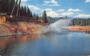 Cartolina d'epoca tronchi da rafting a Washington di Smith's Scenic Views - Foto 1 di 2