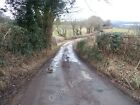 Photo 12X8 Minor Road Near Mescoed Mawr Forest Risca The Footpath From Mes C2010
