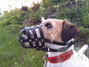Leather Dog Muzzle for Jack Russell and other similar dog's - Picture 1 of 14