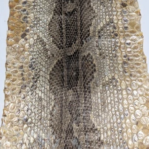 Netz Python Schlange Rohhaut Trockenwickel Rohling Ungebräunte Haut Natur 55x19cm - Bild 1 von 8