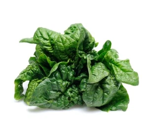 Supreme Savoy Spinach Slow Bolt Premium Seed Packet - Picture 1 of 1