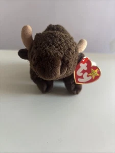 TY Beanie Baby - ROAM the Buffalo (6.5 inch) - MWMTs Stuffed Animal Toy - Picture 1 of 3