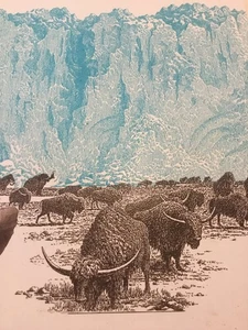 Tolles Buch PB 40 Seiten östliche geriffelte Punkte von Robert Peck unbedingt ansehen toll lesen - Bild 1 von 13