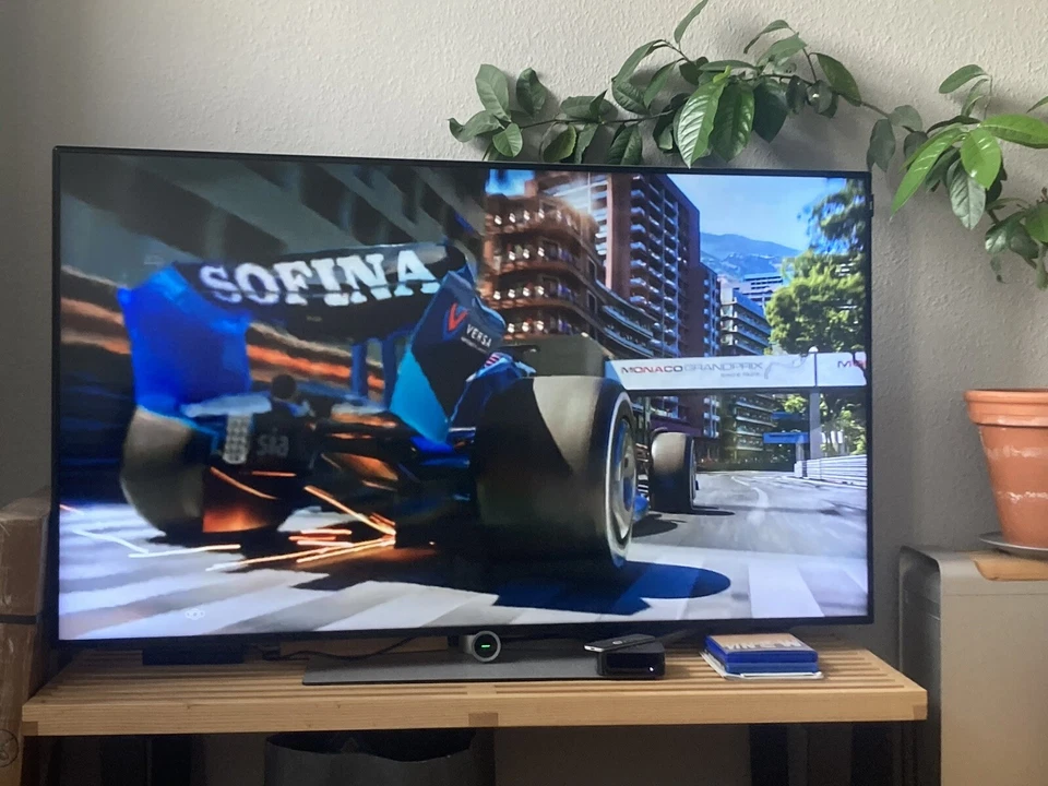 Loewe Bild 1.55 | Panel Defekt | Ersatzteilspender - Bild 1 von 1