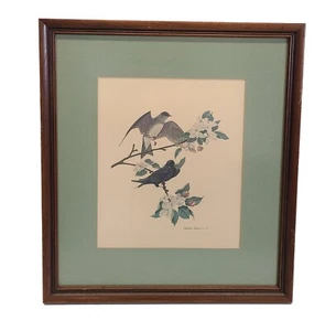 Vintage 1960 Richard Sloan Purple Martin Flowers  Signed Art Framed Bird Print - Picture 1 of 6