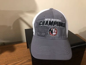 Rare 47 brand Nike 2013 National Champions Flex fit hat Grey/White - Picture 1 of 5