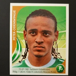 2010 Navarrete South Africa World Cup FIFA #096 PETER ODEMWINGIE Nigeria Soccer - Picture 1 of 2