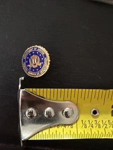 Dept Of Justice (DOJ) Federal Bureau of Investigations (FBI) Lapel Pin - Picture 1 of 3