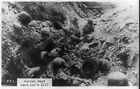 German Dead, Dead Man&amp;#39;s Hill., Skulls, bones, helmets, etc., in trench]
