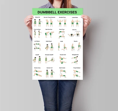 DUMBELL BODYWEIGHT BARBELL GYM WORKOUT EXERCISE POSTERS A1 A2 A4 FULLY LAMINATED - Image 1 of 4