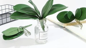 Orchid Leaves, Artificial Orchid Leaves, Real Touch Orchids. Make Your Own Orchi - Picture 1 of 6