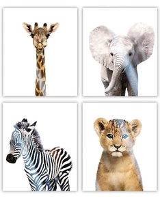 Nursery wall art animal  photos safari jungle baby animals theme - Picture 1 of 3