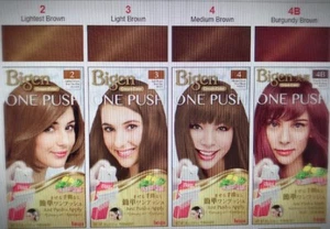 Bigen One Push Cream "Just Push & Apply & Excellent Gray Coverage" - Picture 1 of 2