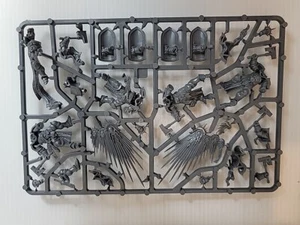 Age of Sigmar 1. Edition Starter Set Stormcast Sprue Staatsanwalt und Befreier - Bild 1 von 2