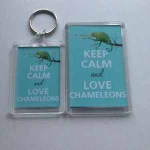 KEEP CALM AND LOVE CHAMELEONS Llavero o Imán de Nevera - REGALO IDEA PRESENTE - Imagen 1 de 5