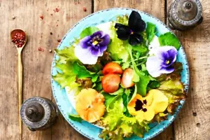 EDIBLE FLOWER SEEDS-15 PACKETS-2000 SEEDS-GARNISH-COTTAGE HERB GARDEN PLANTS - Picture 1 of 21