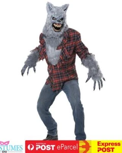 Grey Lycan Werewolf Big Bad Wolf Riding Hood Halloween Fairytale Costume - Picture 1 of 4