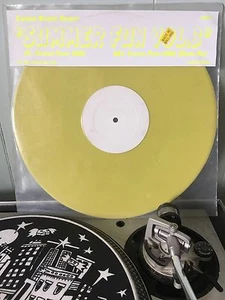 Arrested Development Summer Fun Vol 3 Everyday People 2006 Breaks 12 Vinyl Icey - Picture 1 of 3